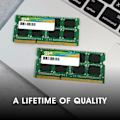 Miniatyrbild 6 av 6: RAM-minne DDR3L - Silicon Power - 8Go 1600MT/s - CL11 UDIMM - SP008GLSTU160N02