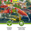 Miniatyrbild 4 av 5: Tetra Pond Color Sticks (Innehåller: 1 L kastanj