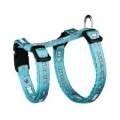 Miniatyrbild 1 av 4: Set "Harness and Leash" för liten kanin - T...