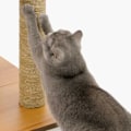 Miniatyrbild 3 av 4: Vesper V Cat Tree - Hög valnötsbas - höjd: 120 cm Vit
