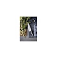Miniatyrbild 3 av 3: WMF Asie Block knivar 5-delar. Kockars Edition 1882319992 Beige, Silver