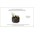 Miniatyrbild 2 av 4: Shell - liner Blagdon - 1055710 - Ersättningsliner för Affinity View Pool i Half Moon Black