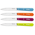 Miniatyrbild 3 av 4: Tandkniv - Opinel - N° 113 - Rostfritt Stål - Klinge 10 cm - Mikro-tandning