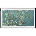 Miniatyrbild 2 av 5: TV QLED - SAMSUNG - TQ32LS03C - 32 tum - Full HD - Smart TV Tizen 6