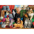 Miniatyrbild 1 av 3: Pussel 1000 bitar: Kattsammanträffande Enfärgad