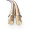 Miniatyrbild 4 av 4: PureLink SP020-100 högtalarkabel 2 x 4,0 mm² (99,9 % OFC solid koppar 0,10 mm) Hifi-högtalarkabel, 100 m, t SP020-10