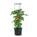 Miniatyrbild 1 av 3: Kruka för tomatplantor 12L Tomatodlare IPOM300-S433 Svart