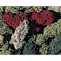 Miniatyrbild 3 av 3: Modellering - Vegetation: Lav 5 färger
