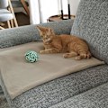 Miniatyrbild 3 av 4: Överdrag - täcke - plaid Zollner - 6704-4527-130170-471 - Mysig filt, 130x170 cm, Fleece, Mikrofiber, Lila
