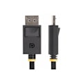 Miniatyrbild 4 av 4: StarTech.com 3m DisplayPort 2
