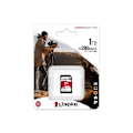 Miniatyrbild 1 av 3: KINGSTON 1TB Canvas React Plus