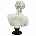 Miniatyrbild 4 av 4: Staty - statuett Design toscano - EU15816 - Vénus de Milo 2:a århundradet f.Kr Byst Statue