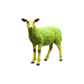 Miniatyrbild 1 av 4: Deco Object Sheep Green Kare Design