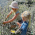 Miniatyrbild 4 av 5: Professionell Blomsterpressningssats, 30X21cm DIY Blomsterpressningskit för Vuxna för Att Göra Torkade Blommor