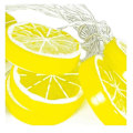 Pikkukuva 2 / 2: Led Lemon Fairy String Lights Jouluvalolamppu Xmas Party Decor