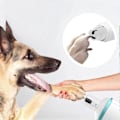 Miniatyrbillede 2 af 5: Hundekløklipper, Elektrisk Støjsvag Kloklipper til Hunde, Smertefri Neglefil, Velegnet til Små til Store Hunde og Katte