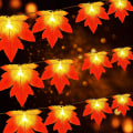 Miniatyrbilde 1 av 5: Halloween String Lights, 3m 20 Led Halloween 3d Pumpkin String Lights Batteridrevet, Ip65 Vanntett Konstant på/blinkende String Lights For Hallow Maple Leaf String Lights