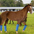 Miniatyrbillede 2 af 5: 4x Hest Flue Støvler Åndbart Mesh Rideudstyr Robust Store Hest Sportsstøvler Hest Ben Wraps til Spring Træning