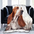 Miniatyrbillede 1 af 5: Basset Hound Hund Superblødt Varmt Fleece Tæppe, Komfortabelt Flannel Tæppe, Fire Sæsoners Tæppe Egnet til Soveværelse Seng og Sofa