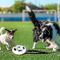 Pikkukuva 4 / 5: Hover Soccer Ball Lasten lelut Aktiiviset liukulevyt Hoverball-kaukosäädin Kelluva jalkapallopallo Led-valoilla Koiran koulutuslelut with light