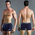 Miniatyrbild 2 av 4: Boxershorts för män, kalsonger, underkläder, Calzoncillos Calecon, mjuk bomull, sexiga 3D-påse, underkläder, större storlek