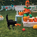 Pikkukuva 4 / 5: Black Cat Halloween Pihakyltit Siluetti Musta Ulkokoristeet Tervetuloa Eläinkoristeet Pation nurmikon puutarhaan Style three