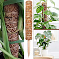 Miniatyrbild 3 av 5: Mossapinne för Monstera-växter, böjbara växtstöd, växtpinnar för krukväxter inomhus, 45'' Coco Coir-pinne växtstöd för Sphagnum, Po