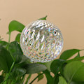 Miniatyrbilde 3 av 6: 2/3/4 stk Glass Vannkuler for Planter Enkle Automatiske Lekkasje Plante Vannkanner for Alle Potteplanter 2