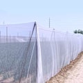 Miniatyrbilde 4 av 5: Insektsnett, grønnsaksnett, plantenett for planter, grønnsaker, frukt fra insekter fugler biller， hvit 60, nett 3m*10m