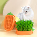 Miniatyrbild 4 av 11: Hålbar kattgräs planteringslåda Skiktad kattgräs odlingsbehållare för inomhus Box