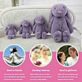 Miniatyrbillede 3 af 5: Jellycat Bashful Viola Bunny Kæledyr Plyslegetøj
