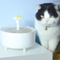 Miniatyrbild 4 av 5: Automatisk cirkulerande vattenfontän för katter, intelligent vattenautomat för husdjur, rinnande vatten för kattungar och smådjur large size floret