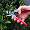 Miniatyrbilde 3 av 4: vs-8z, beskjæresaks, ARS-VS-8XZ