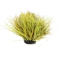 Miniatyrbild 1 av 8: Terrängmodellsats Byggnader i miniatyrskala Små baser Modellgräs Fake Grass Decor N Scale Track Mini Decor Statiskt grästillbehör Fint