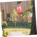 Miniatyrbild 6 av 8: Ekorrfågelmatare Hummingbird Matare Fågelmatare för utvändigt Ekorrmatare Dispenser Container Hummingbird Feeder Duvamatare