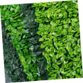 Miniatyrbild 7 av 8: 2 st Grönt staket Spaljé Staket Staket Gräs Väggpaneler Sekretess Häckskärm Konstgjord murgröna Sekretessstaket Sekretessstaket Faux Greenery Leaf