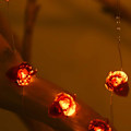 Miniatyrbild 1 av 5: LED koppartrådsbelysning jul Thanksgiving Festival, Colorful hazelnuts
