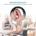 Miniatyrbilde 4 av 4: Oppladbart In-ear høreapparat Justerbar Lyd Stemmeforsterker Ergonomisk Bak Øret For Eldre