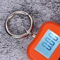 Pikkukuva 4 / 5: Elektroninen koukkuvaaka, 200 kg:n teollinen koukkuvaaka