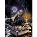Diamantmaleri 40x30 cm Troldmand Harry Potter Diamantmaleri multicolor
