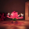Miniatyrbilde 4 av 5: Roterende Musikk Lotus Kake Lys Bursdagsfest Magisk Blomsterblomst Lys rask yellow
