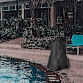 Miniatyrbild 4 av 5: Skydd för Poolrobot - Automatiskt Poolrengöringsförvaringsskydd - Anti-UV Vattentätt Vindtätt Högtemperaturbeständigt för Utomhusbruk 210D Oxford cloth