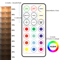 Miniatyrbild 3 av 9: LED-spotlightar 6 st med 2 fjärrkontroller RGB-design många färger Vit