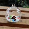 Miniatyrbilde 2 av 5: 5 stk Glass Mini Blomstervaser Ballformet Hage Bryllup Hjem Decor Gave Sett