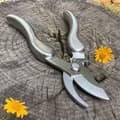 Professional Stainless Steel Scissors 210mm PZCC