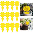 Sticky Trap for Potted Plant Pests Fly Catcher 12-pack