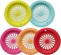 Reusable Plastic Plate Holders, 10 Inch, Heavy Duty with Snap Grooves, Dishwasher Safe (5 Pcs)