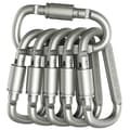 Premium Aluminium D-Ring Låskarbinhakar (6-pack) - Lätta & Slitstarka för Vandring, Camping, Nyckelringar, Hundkoppel & Mer - EJ för Klättring