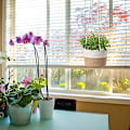 Miniatyrbild 5 av 6: Stilfull Boho-inredning, Makramé Växthängare för Inom- och Utomhusbruk, Enkel Installation med Långa Rep, Hållbar och Återanvändbar, Perfekt för Olika Hem