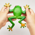 Miniatyrbillede 4 af 5: Gummi-simuleret frø strækbar legetøj stressaflastning sensorisk legetøj Spoof stressaflastningslegetøj til børn og voksne